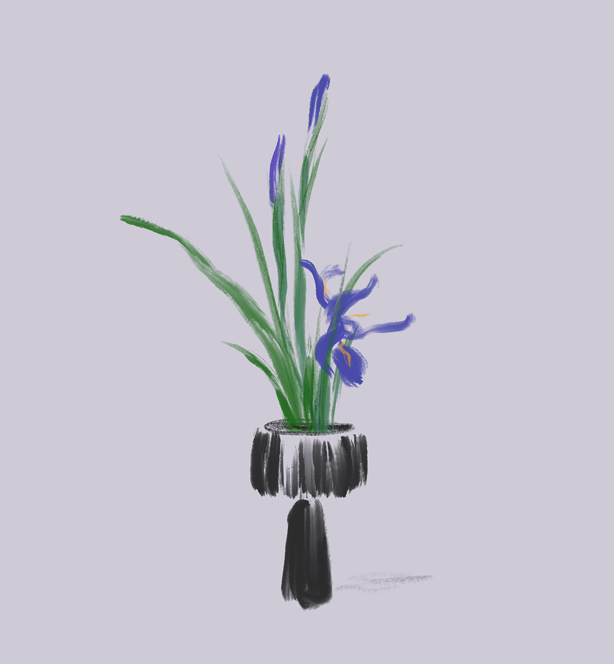 Seika con iris, Diari ikebana